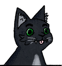 A silly cat